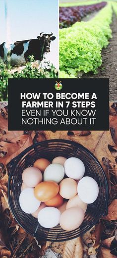 How to Become a Farmer in 7 Steps Even If You Know Nothing about It Homestead Farm, Future Farms, Homesteading Skills, Mini Farm, Living Off The Land, Backyard Farming, A Farmer, Farms Living, Down On The Farm