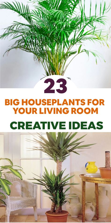 Transform your living space into a tranquil oasis by incorporating statement-making large houseplants. Embrace the grandeur of the majestic monstera deliciosa, featuring lush tropical leaves for a striking aesthetic. Elevate your room's design with the architectural elegance of the yucca plant and its tall, spiky foliage. Introduce a hint of paradise with a graceful palm tree that adds height and tropical vibes indoors. Large Indoor Trees Living Rooms, Lounge Plants Decor, Indoor Palm Trees Living Room, Statement Plants Indoor, Big Plants Indoor Living Rooms, Areca Palm Indoor, Big House Plants, Inside Gardening, Indoor Palm Plants