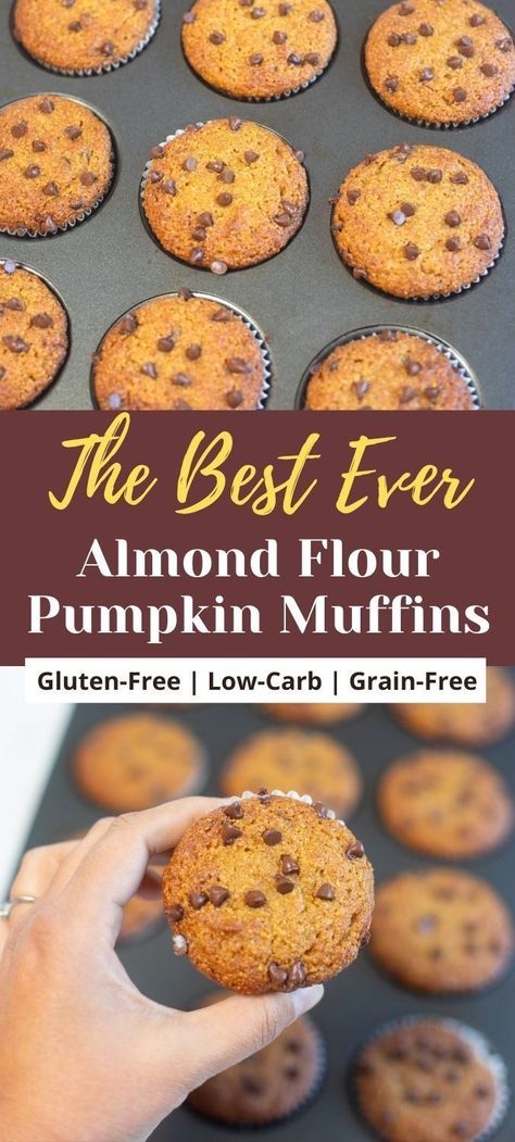 These gluten-free Almond Flour Pumpkin Muffins are a delicious sweet treat, incredibly moist and fluffy, and taste a bit like pumpkin pie. These paleo muffins are easy to make, and are topped with chocolate chips for extra goodness. | healthy breakfast muffins | gluten-free baking | low carb muffins | high protein recipes | paleo pumpkin muffins | pipingpotcurry.com Low Carb Pumpkin Muffins Almond Flour, Muffin Recipes With Almond Flour, Easy Almond Flour Pumpkin Muffins, Paleo Apple Muffins Almond Flour, Pumpkin Protein Muffins Almond Flour, Almond Flour Pumpkin Chocolate Chip Muffins, Muffins Using Almond Flour, Almond Flower Pumpkin Muffins, Almond And Coconut Flour Muffins