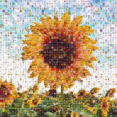 Mosaically® lets you create your own photo mosaic using your own pictures. It also lets you share your photo mosaic and invite others to add their own photos. Photo Mosaic Collage, Bottle House, Photography Collage, Photo Mosaic, Mosaic Pictures, Dull Colors, Video Free, Small Pictures, Big Picture