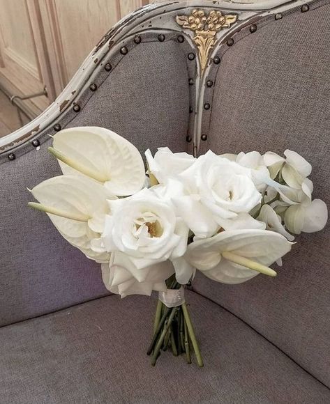 Timeless Elegance: White Wedding Bouquets in 2024 Ranculus Ranunculus Bouquet, Anthurium Bouquet Wedding, Anthurium Wedding Bouquet, Anthurium Bouquet, Modern Bridal Bouquets, Elegant White Wedding, White Bouquets, Bridesmaid Bouquet White, Calla Lily Bouquet