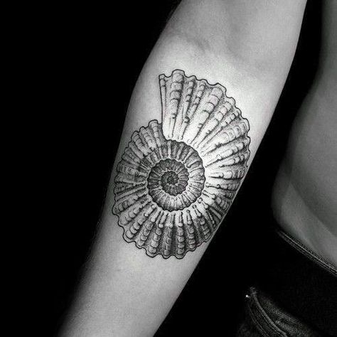 40 Ammonite Tattoo Designs For Men - Fossil Ink Ideas Nautilus Tattoo, Sea Life Tattoos, Marine Tattoo, Shell Tattoo, Rare Tattoos, Spiral Tattoos, Mama Tattoo, Seashell Tattoos, Shell Tattoos