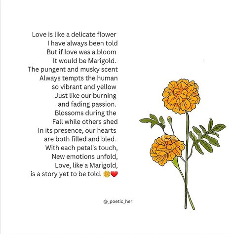 Marigold serenade Marigold Flower Quotes, Marigold Flower Meaning, Marigold Quotes, Marigold Meaning, Flower Meanings, Cute Quotes For Life, Marigold Flower, Fruit Of The Spirit, Flower Quotes