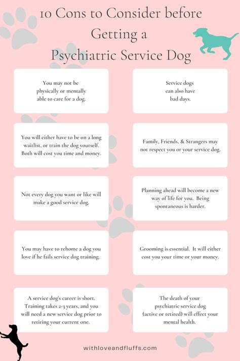 10 Cons to Consider Before Getting a Psychiatric Service Dog Service Dog Tasks List, Assistance Dog Gear, Psychiatric Service Dog Tasks, Psychiatric Service Dog Training, Service Dog Quotes, Psychiatric Service Dog Gear, Service Dog Training Checklist, Service Dog Gear For School, Poodle Service Dog