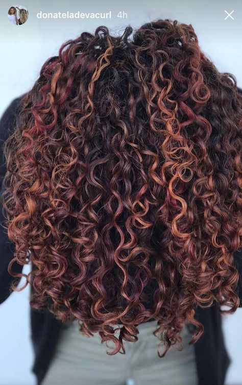 Pintura Highlights, Balayage Auburn, Burgundy Hair With Highlights, Auburn Hair With Highlights, Red Highlights In Brown Hair, Blonde Highlights Curly Hair, Dark Curly Hair, Dyed Curly Hair, Highlights Curly Hair