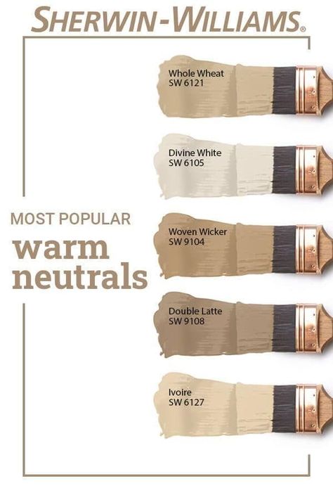 Warm Neutral Paint Colors, Paint Color Schemes, Neutral Paint Colors, Paint Diy, Neutral Paint, Bohol, Interior Paint Colors, Exterior Paint Colors, Paint Colors For Home