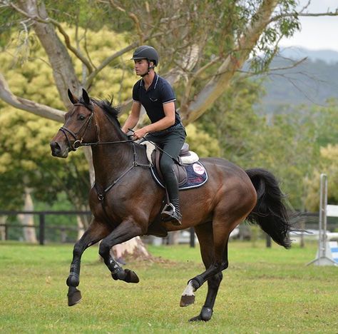 George Morris – It’s simple, it’s just not easy | The Horse Magazine #barnpros #prefabarn #barns #barn #horsestallfronts #barnkit #barnplans #barnbuildin #horsebarnkits #horsebarn #barnhomekits #barnwithlivingquarters Horse Riding Pose Reference, Horse Riding Reference, Horse Eventing, Horse With Rider, George Morris, Horse Magazine, Rasy Koni, Horse Names, Dressage Horses