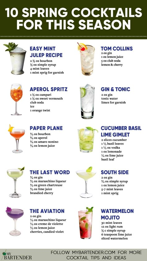 Bartender Drinks Recipes, Julep Recipe, Spring Drink, Homemade Alcohol, Bartender Drinks, Cocktail Drinks Alcoholic, Cocktail Shots, Spring Cocktails, Boozy Drinks