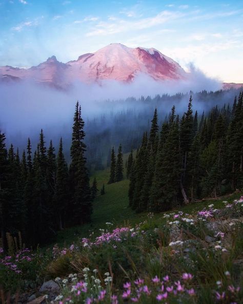 Pnw Aesthetic, National Parks Photography, National Park Photos, Mount Rainier National Park, Scenic Photography, Rainier National Park, Countryside House, Aesthetic Vibes, Us National Parks