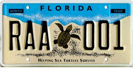 Florida Fish, Licence Plates, License Plate Designs, Black Numbers, Car Plates, Vanity Plate, Sea Turtles, License Plates, Ocean Beach