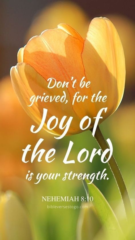 Nehemiah 8:10 NIV "Do not grieve for the joy of the Lord is your strength." The Joy Of The Lord, Scripture Wallpaper, Bible Verse Background, Wallpaper Iphonewallpaper, Bible Quotes Images, Awesome God, Joy Of The Lord, Scripture Pictures, Encouraging Bible Verses