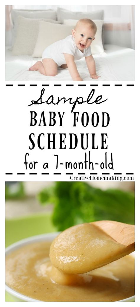 7 Month Old Food, 7 Month Old Baby Food, Food Schedule, 7 Months Baby Food, Baby Meal Plan, Baby Food Schedule, 7 Month Baby, Baby Dinner, 7 Month Old Baby