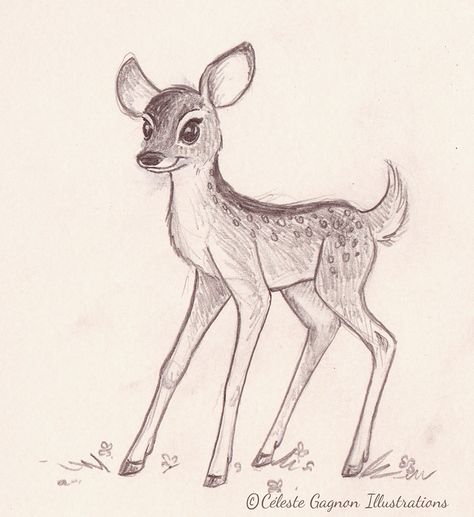 Fawn, artist Celeste Gagnon.  Illustration. Fawn Drawing, Deer Drawing Easy, Deer Drawing, Animal Ideas, What To Draw, My Hope, My Sketchbook, Very Busy, Drawing Skills