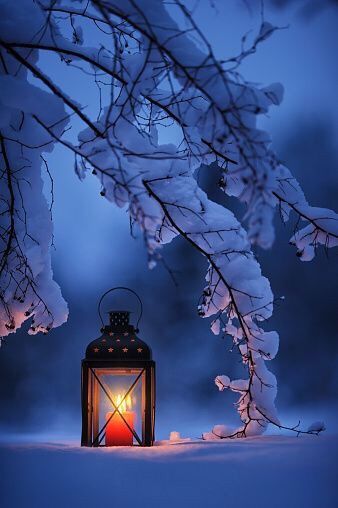 Sunday December Calls 🎵 – Chanda D🎨 Winters Tafereel, Winter Szenen, Hiasan Bilik, Foto Tips, Winter Wallpaper, Winter Magic, Winter Scenery, Winter Beauty, Snow Scenes