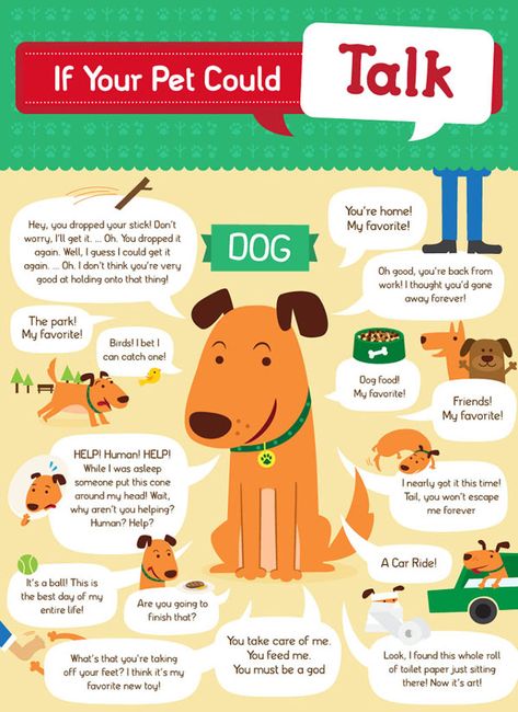 Pet Infographic, Cat Remedies, If Dogs Could Talk, Dog Infographic, Dog Training Classes, Pet Blog, What Dogs, Frenchie Puppy, Funny Dog Memes