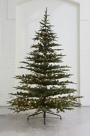 Anthropologie Christmas Tree, Noble Fir Tree, Noble Fir Christmas Tree, Best Artificial Christmas Trees, Anthropologie Christmas, Types Of Christmas Trees, Fir Christmas Tree, Buffalo Check Christmas, Classic Christmas Tree