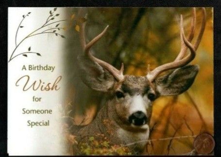 Happy Birthday Deer Hunter, Happy Birthday Hunting, Happy Birthday Wishes Pics, Birthday Wishes Pics, Sunday Greetings, Happy Birthday Art, Birthday Art, Deer Hunter, Hunting Tips