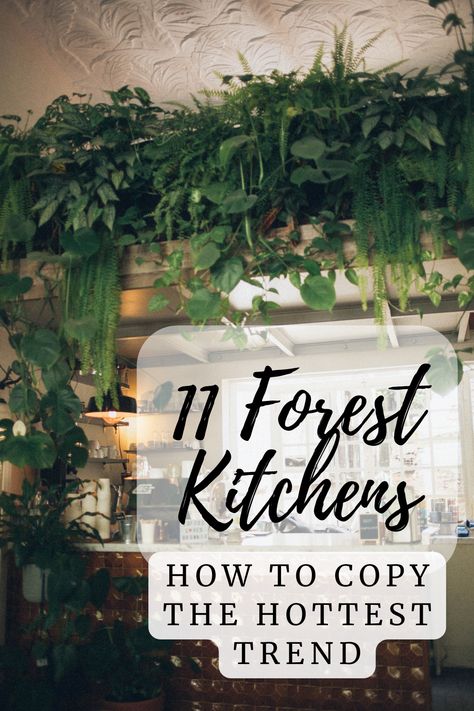 a forest kitchen with a wall of green plants above a window Green Dark Kitchen, Green Vintage Kitchen Aesthetic, Dark Boho Kitchen Decor, Nature Kitchen Decor, Kitchen Ideas Moody, Dark Green Cottage Kitchen, Green Forest Kitchen, Dark Green Farmhouse Kitchen, Kitchen With Plants Aesthetic