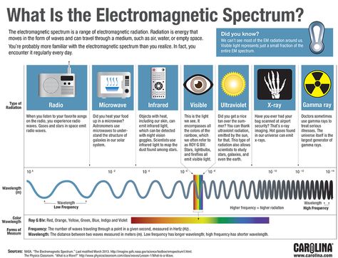 Electromagnetic Spectrum                                                                                                                                                                                 More Electromagnetic Spectrum Chart, The Electromagnetic Spectrum, Electromagnetic Spectrum Poster, Physics Facts, Physics Lessons, Wave Theory, Physics Notes, Electromagnetic Spectrum, 8th Grade Science