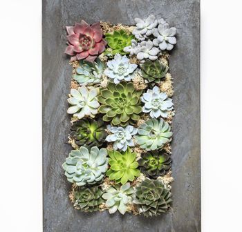 Grand Living Wall Living Wall Planter, Moss Wall Art, Succulent Wall, Moss Wall, Terraria, Living Wall, Wall Planter, Steel Wall, Small Plants