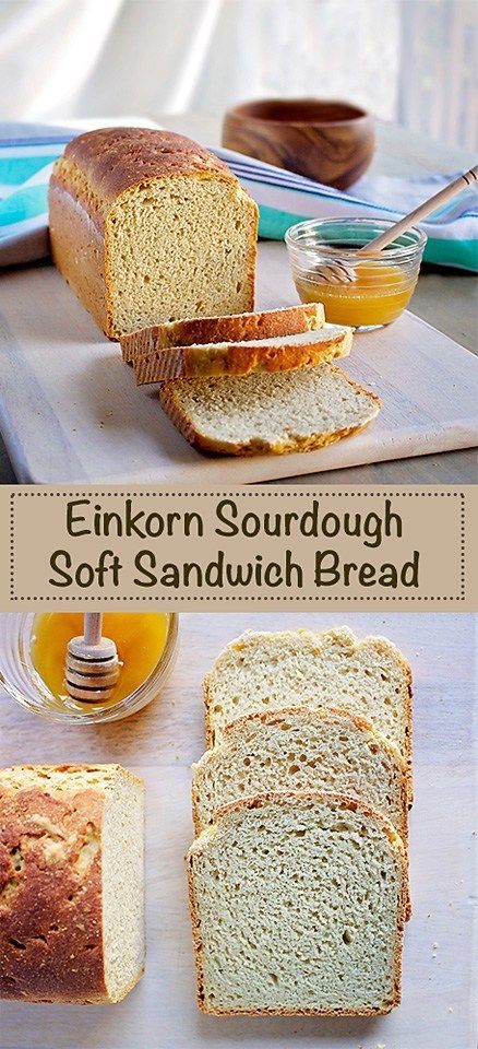 Ancient Grain Bread Recipe, Ancient Grains Bread, Einkorn Sourdough, Sourdough Sandwich Bread Recipe, Spelt Flour Recipes, Ancient Grains Recipes, Einkorn Bread, Sourdough Sandwich Bread, Einkorn Recipes