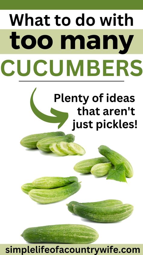 what to do with lots of cucumbers What To Do With Pickling Cucumbers, Uses For Cucumbers Recipes For, Cooking Cucumber Recipes, Leftover Cucumber Recipes, Garden Cucumbers Recipes, What To Do With Cucumbers Besides Pickles, Yummy Cucumber Recipes, How To Save Cucumbers, Things To Do With Extra Cucumbers