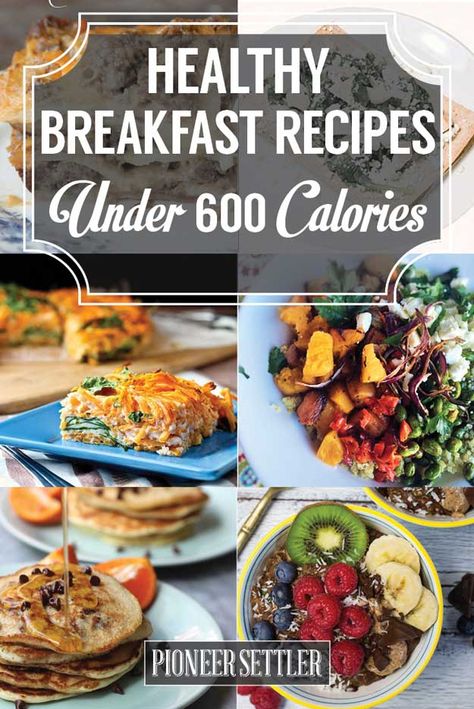 Healthy Breakfast Recipes Under 600 Calories 500 Calorie Breakfast, 600 Calorie Meals, 500 Calories Recipes, Meals Under 500 Calories, Clean Eating Kids, 500 Calorie Meals, Garlic Health Benefits, 500 Calorie, Healthier Habits