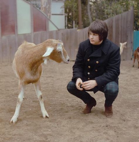 Brian Wilson and a goat. The Beach Boys' Pet Sounds photo shoot. PH George Jerman Feb 1966. Pet Sounds Beach Boys, Morrison Hotel, Pet Sounds, Mike Love, Brian Wilson, Beach Boys, The Sixties, Classic Songs, Musica Pop