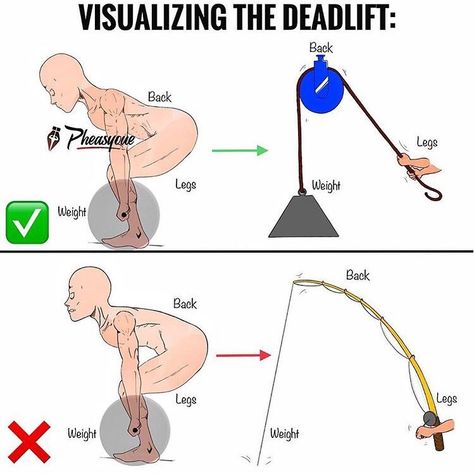 Fitness Knowledge, Dead Lifts, Barbell Deadlift, Sixpack Workout, Workout Stuff, Fitness Programs, Gym Tips, Weight Training Workouts, Workout Chart