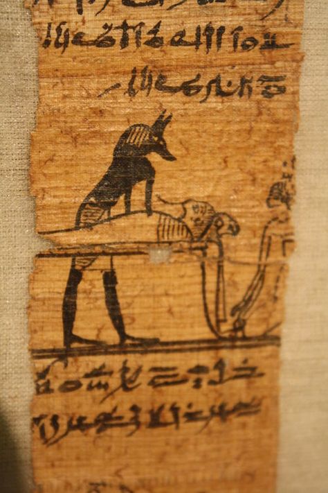 A detail from a Book of the Dead, on papyrus showing hieratic writing of Hornefer, Ptolemaic Period, provenance unknown. (Museo Castello Sforzesco, Milan) Modern Egypt, Book Of The Dead, Ancient Egypt Art, Egypt History, Egyptian Hieroglyphics, The Afterlife, Egyptian Mythology, Egypt Art, Ancient Egyptian Art