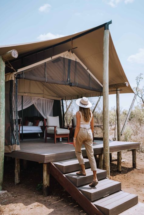 5 reasons why you will love going on Safari with Honeyguide in South Africa - Sun Chasing Travelers South African Safari, Botswana Safari, South Africa Safari, Visit South Africa, Tent Living, Wildlife Reserve, On Safari, Luxury Tents, South Africa Travel