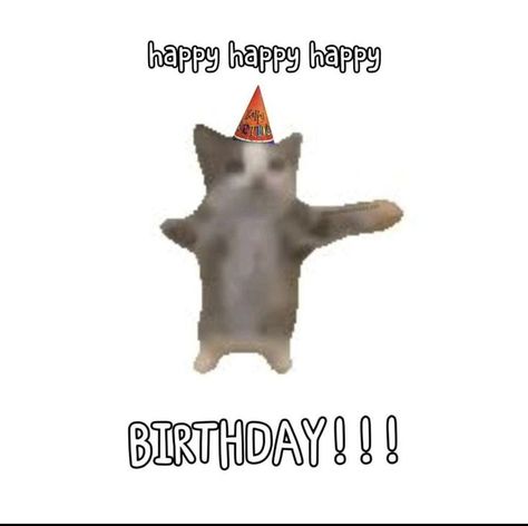 Silly Happy Birthday, Happy Birthday Doodles, Happy Birthday Meme, Bday Cards, Silly Cats Pictures, Jokes Pics, Birthday Meme, Birthday Gif, Happy B Day