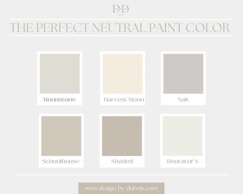 the perfect neutral paint color, moonstone, harvest moon, salt, schoolhouse white, shaded white, decorator's white Perfect Neutral Paint Color, Schoolhouse White, Neutral Paint Color, Info Design, Neutral Paint, Design Fields, Harvest Moon, Atlanta Ga, Paint Color