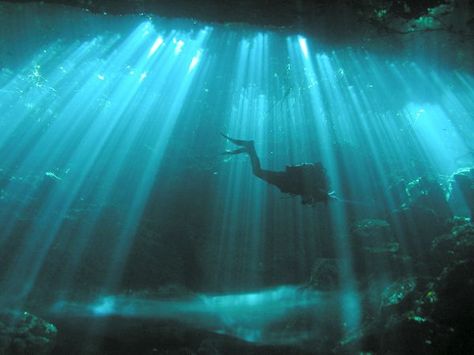 Underwater cavern Light Reference, Underwater Caves, Kelp Forest, Chicago Travel, Michigan Travel, Light Rays, Making Waves, Day Of My Life, Nature Animals