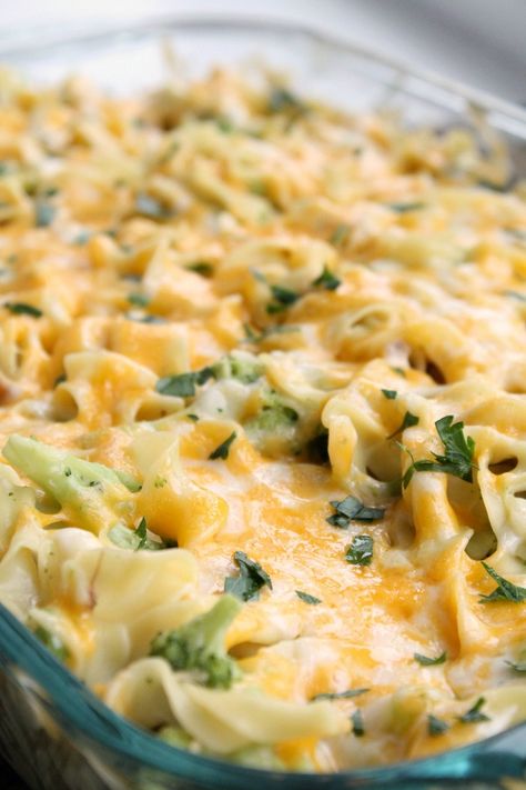 Chicken Casserole With Egg Noodles, Chicken Egg Noodle Casserole, Casserole With Egg Noodles, Broccoli Chicken Casserole, Chicken And Egg Noodles, Noodle Dinner, Egg Noodle Recipes, Easy Chicken Casserole Recipes, Noodle Casserole Recipes