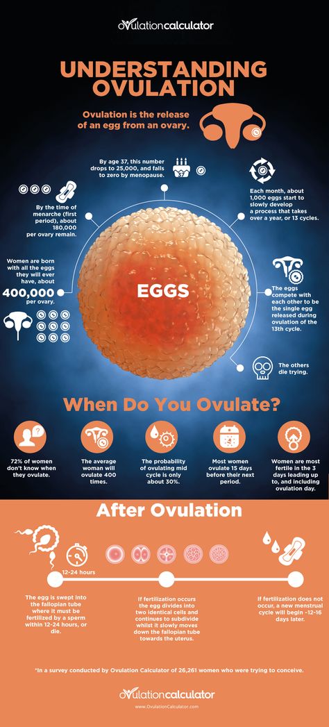 Understanding Ovulation Infographic What Is Ovulation, Fertility Awareness Method, Fertility Foods, Fertility Awareness, Fertility Health, Fertility Diet, Fertility Boost, Menstrual Health, Feminine Health