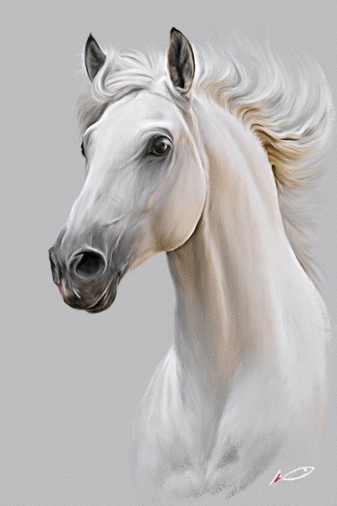 Horse Art Drawing, Regnul Animal, Painted Horses, Cai Sălbatici, Horse Artwork, Horse Diy, Majestic Horse, Horse Pattern, Horse Drawing