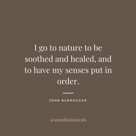 I go to nature to be soothed and healed, and to have my senses put in order. - John Burroughs Earthing Grounding Quotes, Healing Power Of Nature Quotes, In My Element Quotes, Nature Is Healing Quotes, You Can't Heal In The Same Environment, Nature Heals Quotes, Natural Healing Quotes, Healing In Nature, Natural Health Quotes