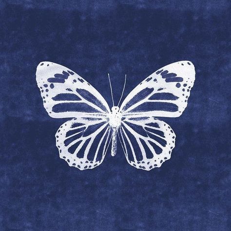 Indigo Butterfly, Aura Azul, Butterfly Poster, Light Blue Aesthetic, Blue Wallpaper Iphone, Blue Poster, White Butterfly, Butterfly Art, Phone Themes