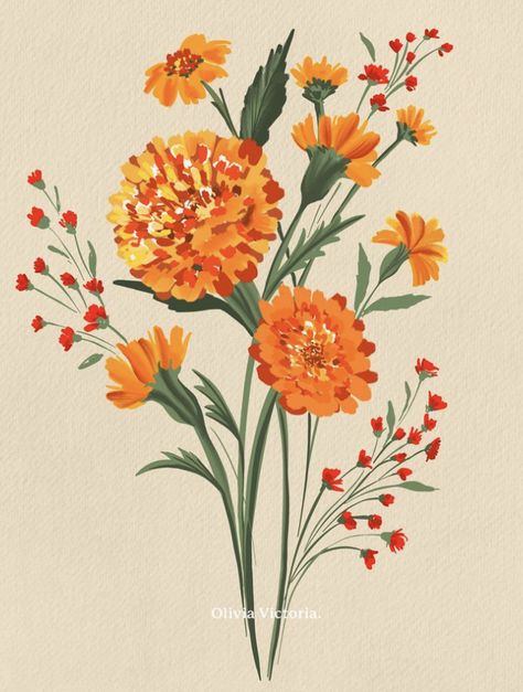 Marigold Flowers Drawing, Marigold Flower Illustration, Marigold Artwork, Marigolds Painting, Painting Marigolds, Marigolds Drawing, Marigold Flower Painting, Flowers For August, Marigold Flower Drawing