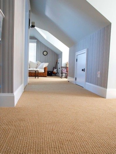 Best Carpet For Basement, Gray Bedroom Walls, Basement Carpet, Hotel Carpet, Bedroom Blue, Diy Carpet Cleaner, Carpet Stores, Carpet Trends, Buying Carpet