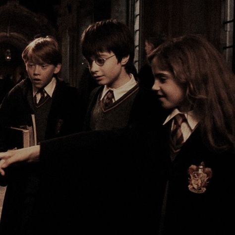 Golden Trio icons Ronald Weasley Aesthetic, Hogwarts Dark Academia, Trio Icons, Weasley Aesthetic, Ronald Weasley, Harry Potter Icons, Golden Trio, Harry Potter Hermione, Harry Potter Aesthetic