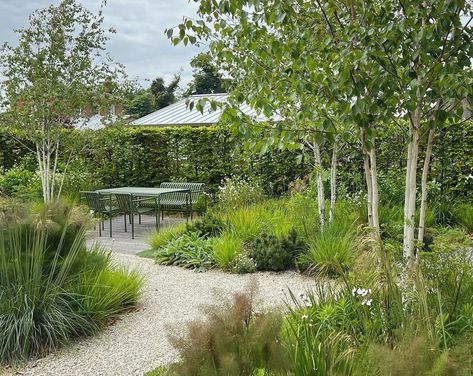 Colm Joseph Gardens on Instagram: “checked in on our suffolk walled garden this week, pleased to see it developing so well these shots show the gravel garden, where the…” Gravel Planting, Birch Trees Landscaping, Low Water Gardening, Front Garden Design, Gravel Garden, Walled Garden, English Cottage Garden, Have Inspiration, School Garden