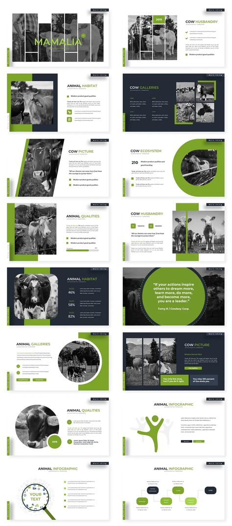 Powerpoint Master Slide Design, Powerpoint Title Slide Design, Creative Powerpoint Presentation Ideas, Creative Powerpoint Design, Powerpoint Layout Ideas, Creative Presentation Design, Powerpoint Presentation Ideas, Canva Presentation Template, Canva Presentation