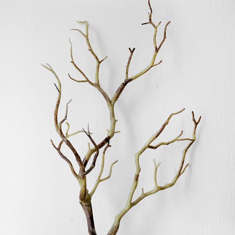 Diy Antlers Headband, Diy Antler, Dried Tree Branches, Twigs Decor, Tree Branch Wedding, Takken Decor, Artificial Tree Branches, Tree Branch Decor, Branches Diy