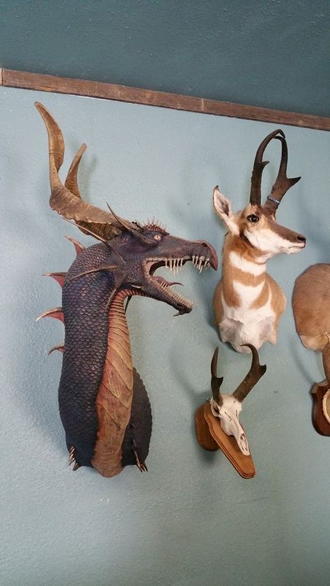 wolfologist: “"Taxidermy dragon, Magic sculp, deer antler tips and Spanish goat horns." By Jeromy Herrick ” Dragon Taxidermy, Fantasy Wildlife, Dragon Magic, Green Wolf, Goat Horns, Deer Horns, Faux Taxidermy, Deer Antler, Deer Antlers