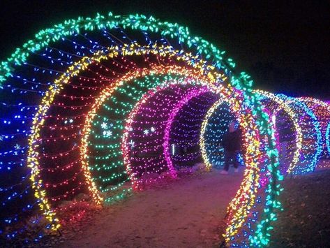 Christmas decorative LED fairy lighted tunnel | iChristmasLight Garden Of Lights, Christmas Arch, Lights Outside, Christmas Lights Outdoor, Picture Green, Christmas Lights Outside, Holiday Lights Display, Light Tunnel, Fairy Christmas