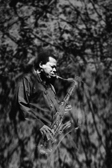 The Heaven-Longing Saxophone of Wayne Shorter | The New Yorker John Patitucci, Drummer Art, Freddie Hubbard, Bruce Hornsby, Wayne Shorter, Art Blakey, Great Albums, Miles Davis, Jazz Musicians