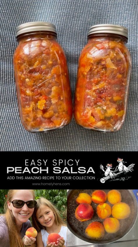 The Best Spicy Peach Salsa Recipe - Homely Hens Easy Peach Salsa, Spicy Peach Salsa, Picking Peaches, Peach Salsa Recipe, Peach Salsa Recipes, Peach Salsa, Spread Recipes, Homemade Salsa, Peach Recipe