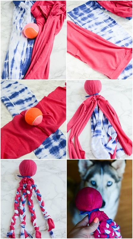 DIY Tennis Ball Dog Toy Fake Ginger, Homemade Dog Toys, Diy Pet Toys, Diy Dog Toys, Dog Enrichment, Dog Games, Dog Crafts, Dog Items, Dog Activities